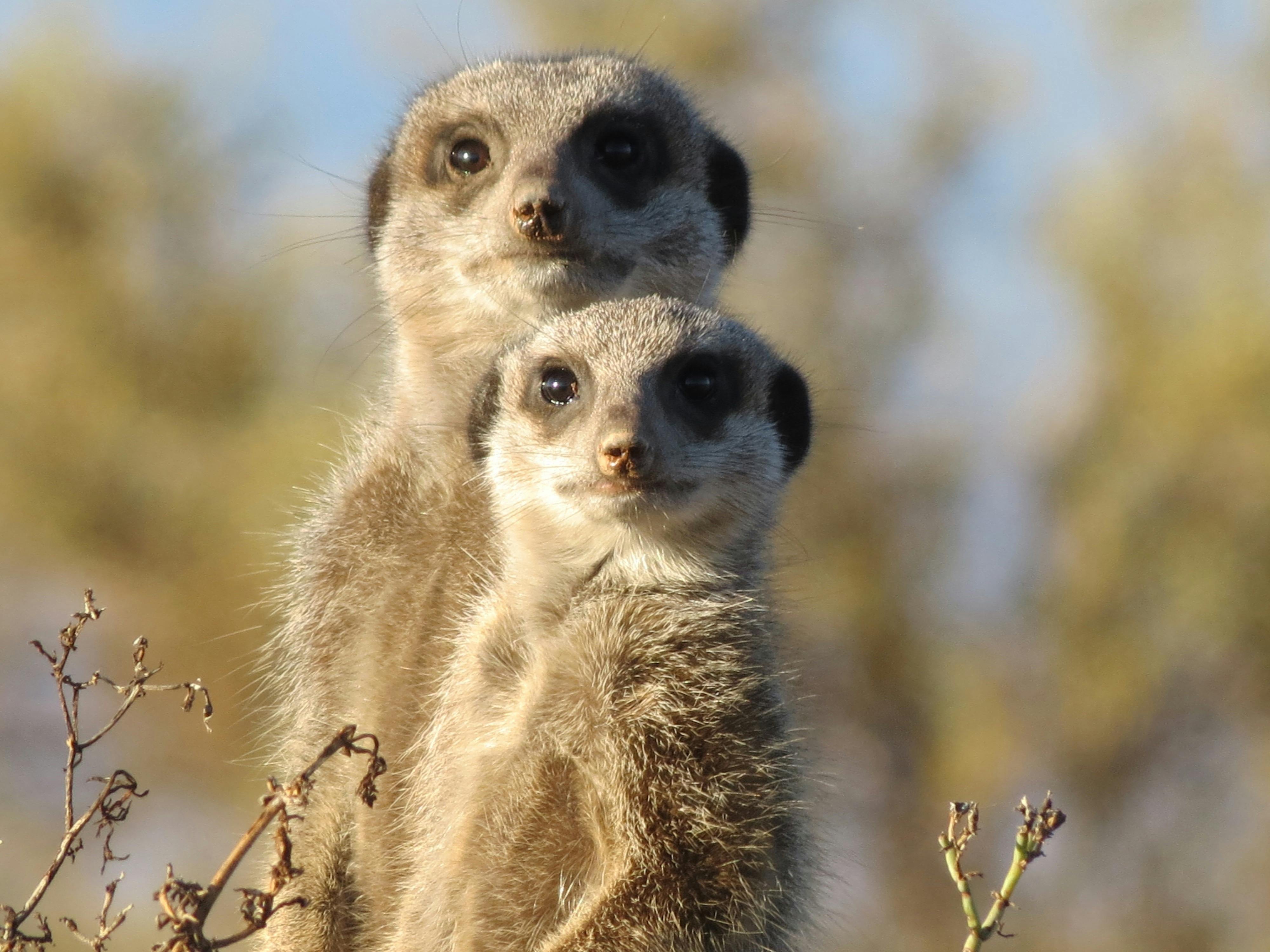 MADAGASCAR LEMUR TOUR – 06 DAYS