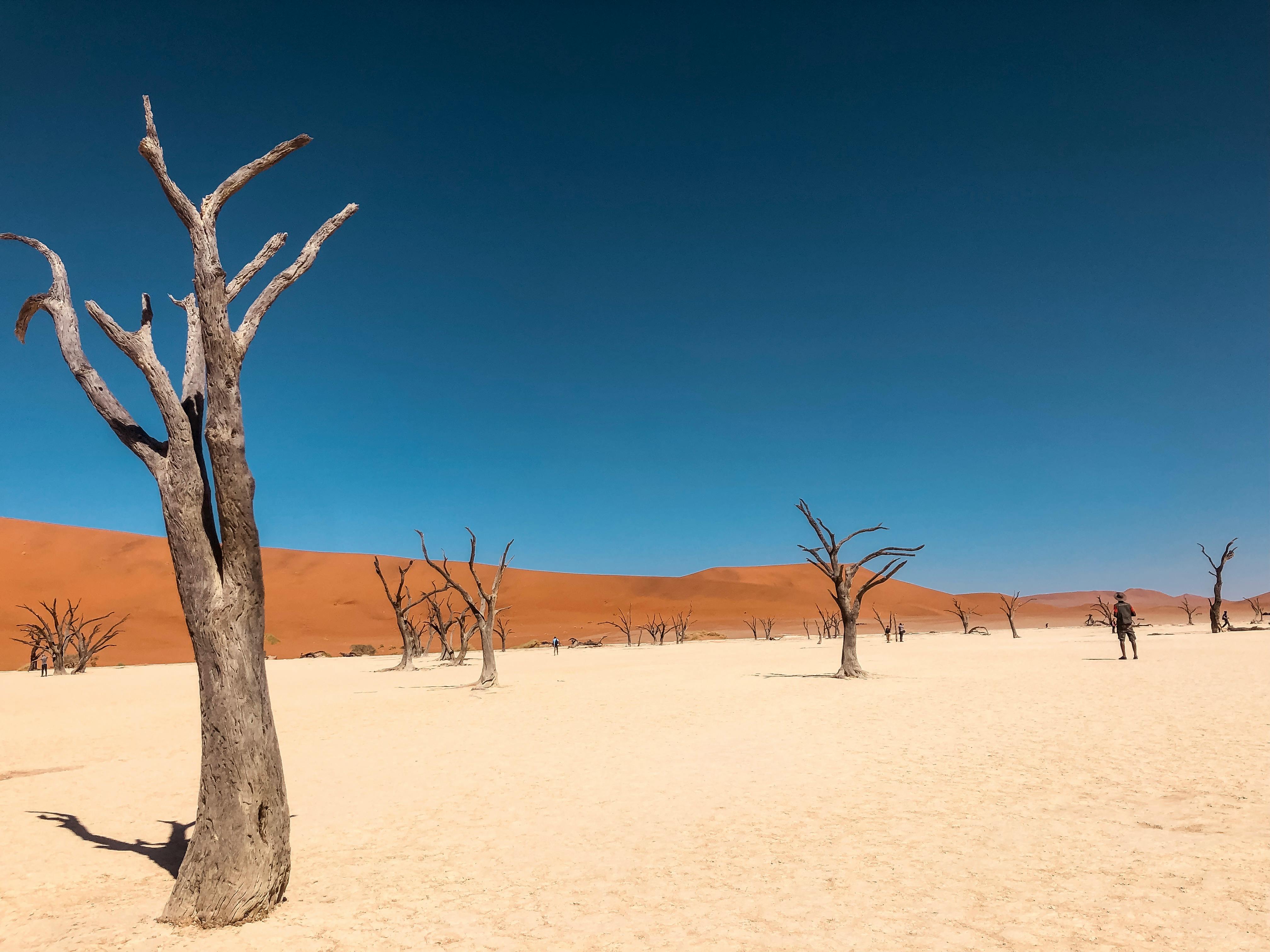 NAMIBIA DESERT ADVENTURE – 07 DAYS