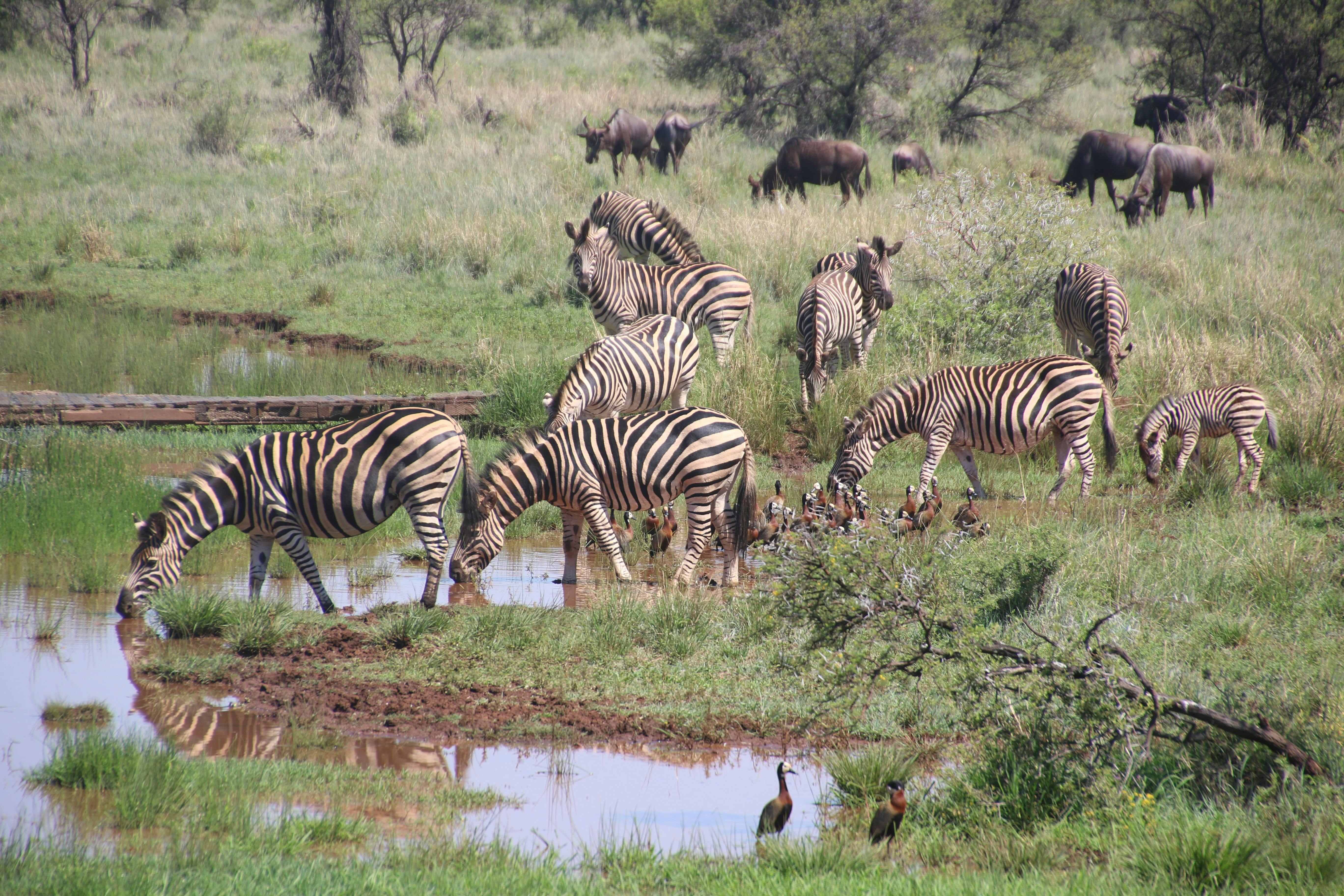Serengeti National Park